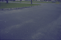 Unable to load Image