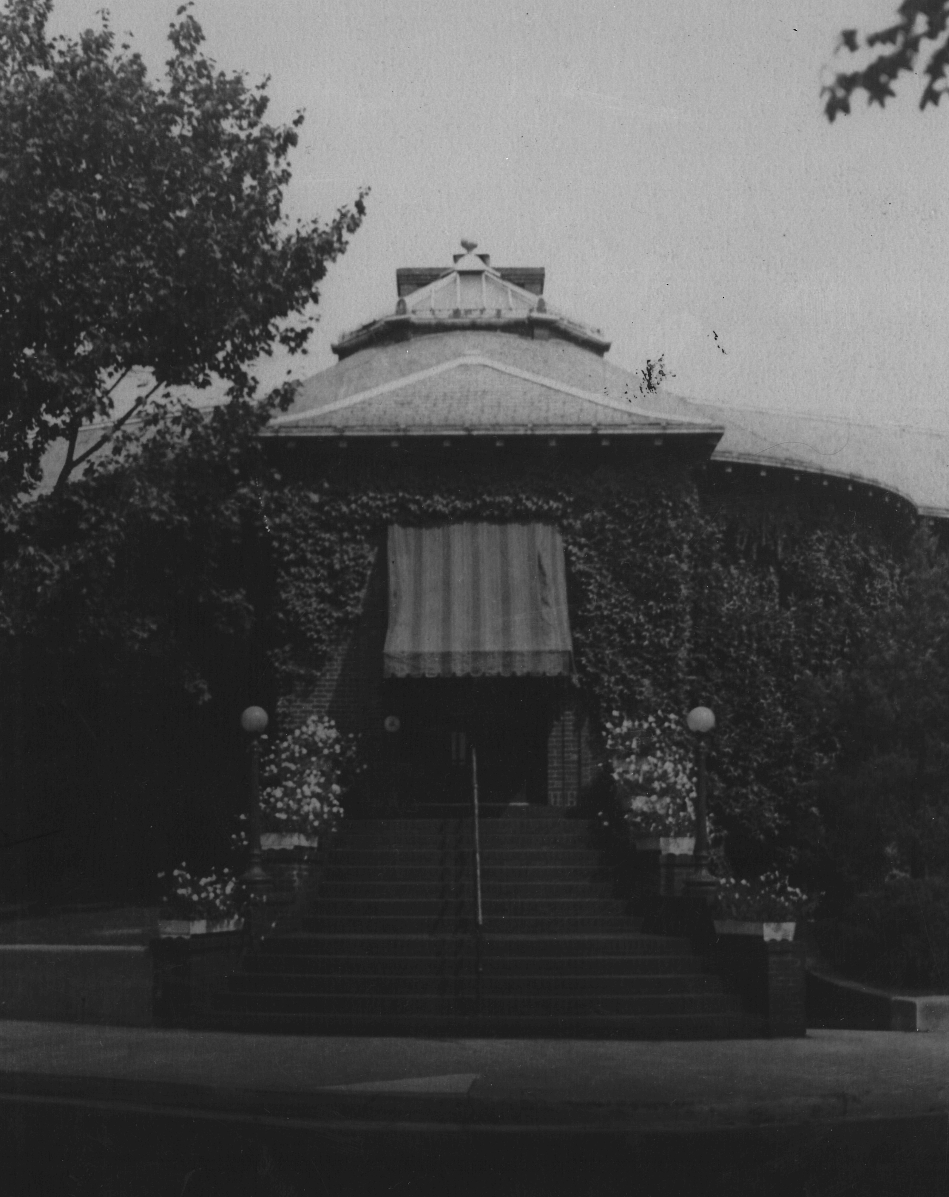 Beyond Pita Montclair - 1dwjmjd